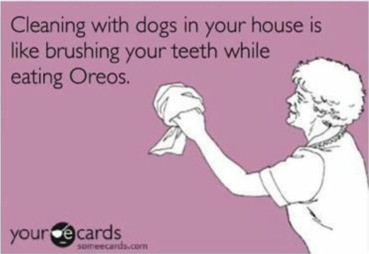 someecards dogs and oreos